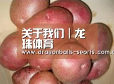 产品展示标题1