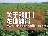 种植基地五