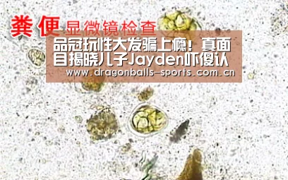 品冠玩性大发骗上瘾!真面目揭晓儿子Jayden吓傻认不出‘ 足球直播’(图1) 赛事数据直播