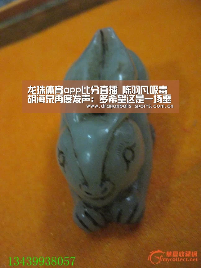 龙珠体育app比分直播