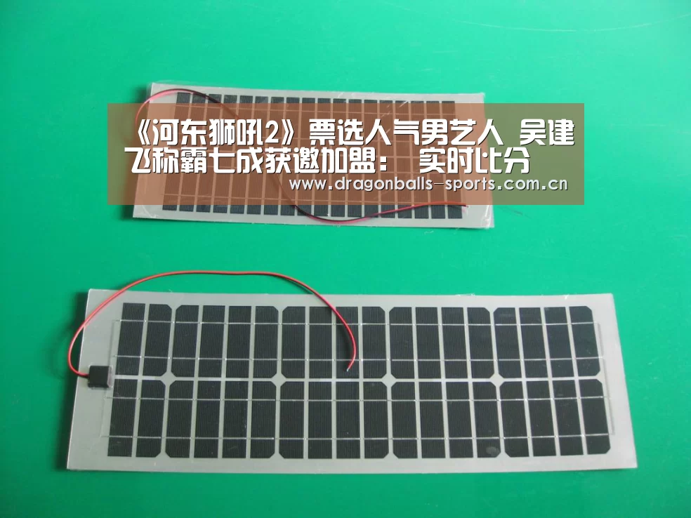  实时比分