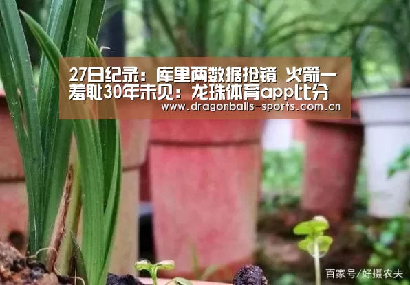27日纪录:库里两数据抢镜 火箭一羞耻30年未见:龙珠体育app比分直播(图1) 足球直播