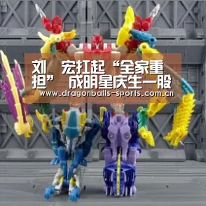 刘畊宏扛起“全家重担” 成明星庆生一股清流|龙珠体育app比分直播(图1) 赛事数据直播