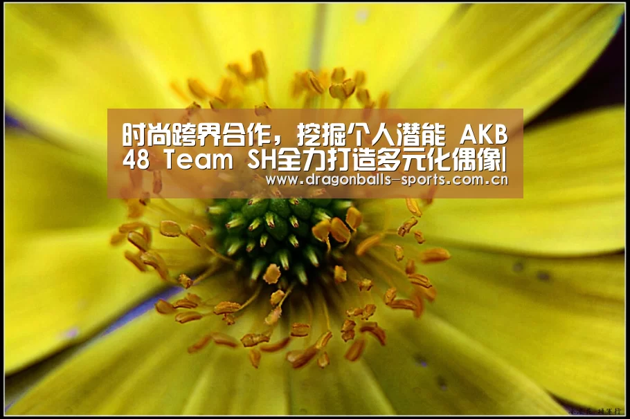  赛事数据直播