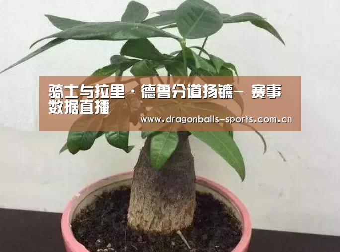 骑士与拉里·德鲁分道扬镳- 赛事数据直播(图2) 实时比分