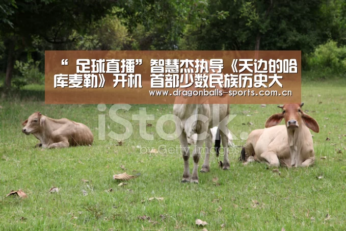 “ 足球直播”智慧杰执导《天边的哈库麦勒》开机 首部少数民族历史大片(图4) 篮球直播